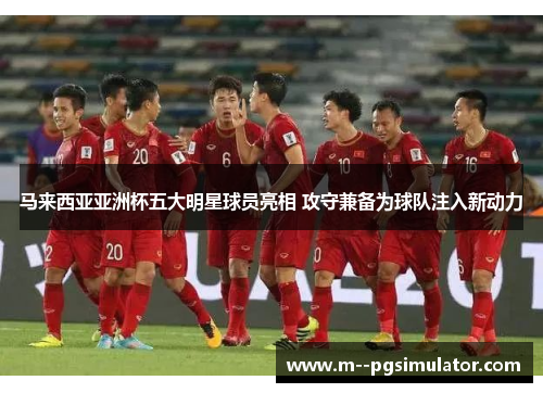 马来西亚亚洲杯五大明星球员亮相 攻守兼备为球队注入新动力